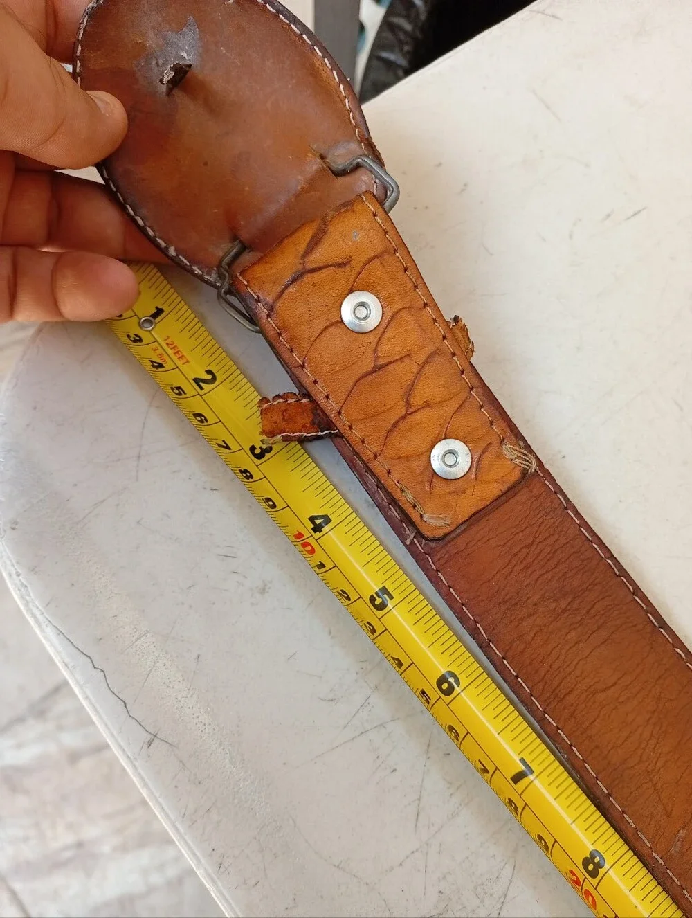 Anteater Leather Men’s Belt